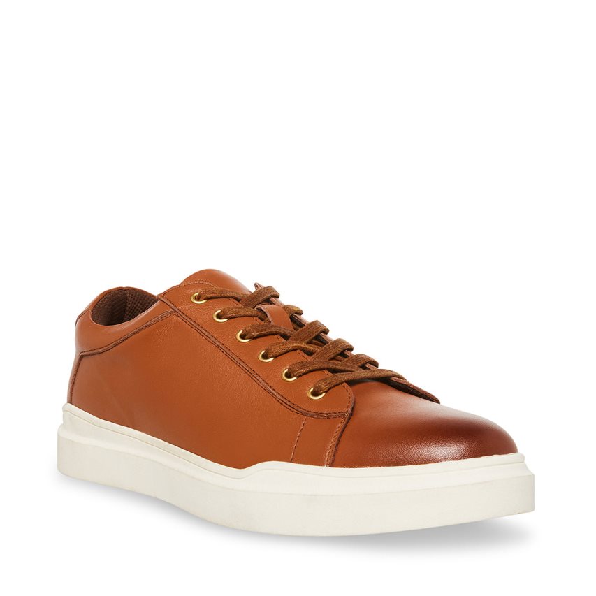 Zapatillas Steve Madden Tilton Cuero Hombre Marrones | ES NA43ES